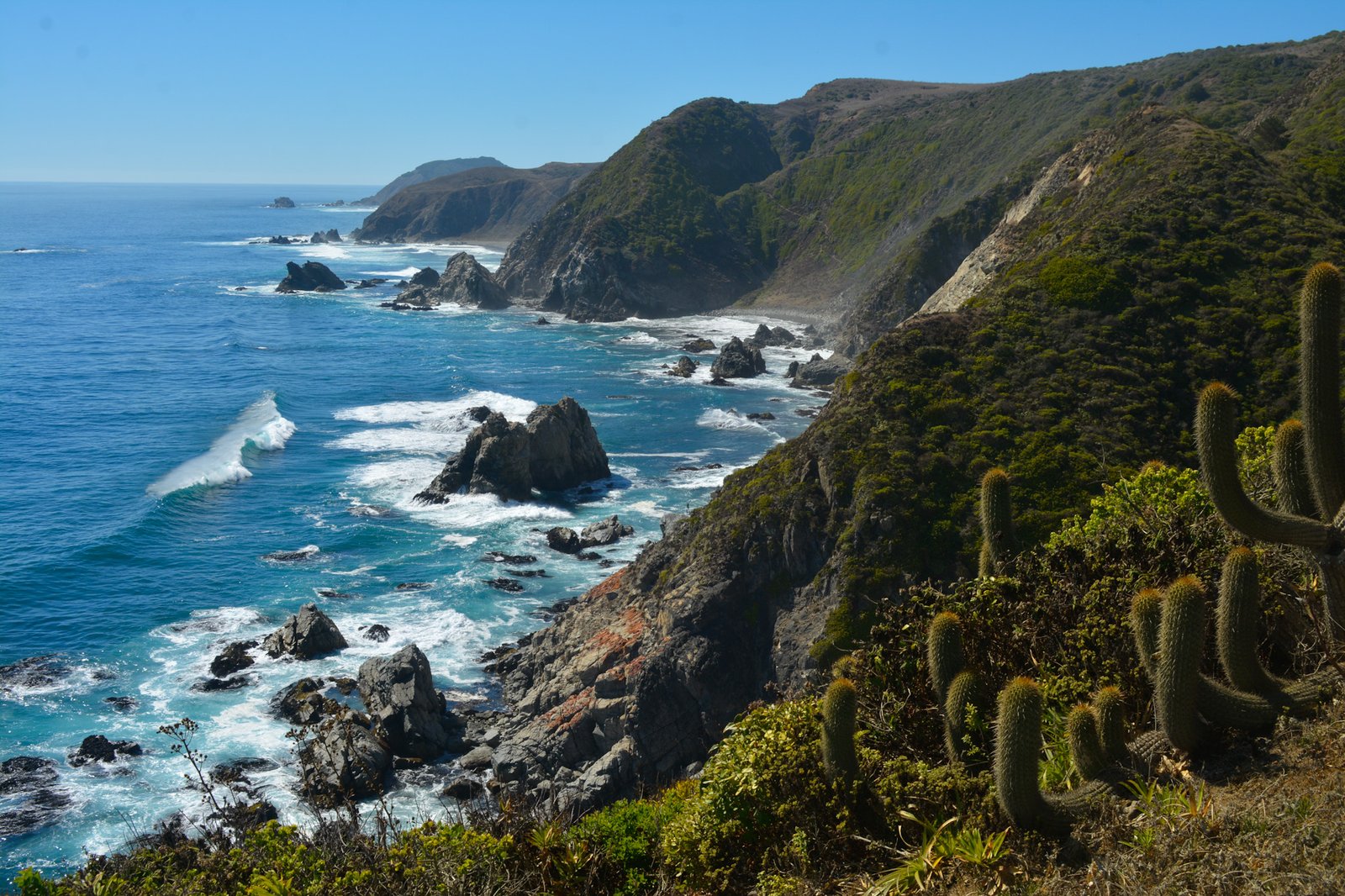 Vistas al Lago y Volcanes