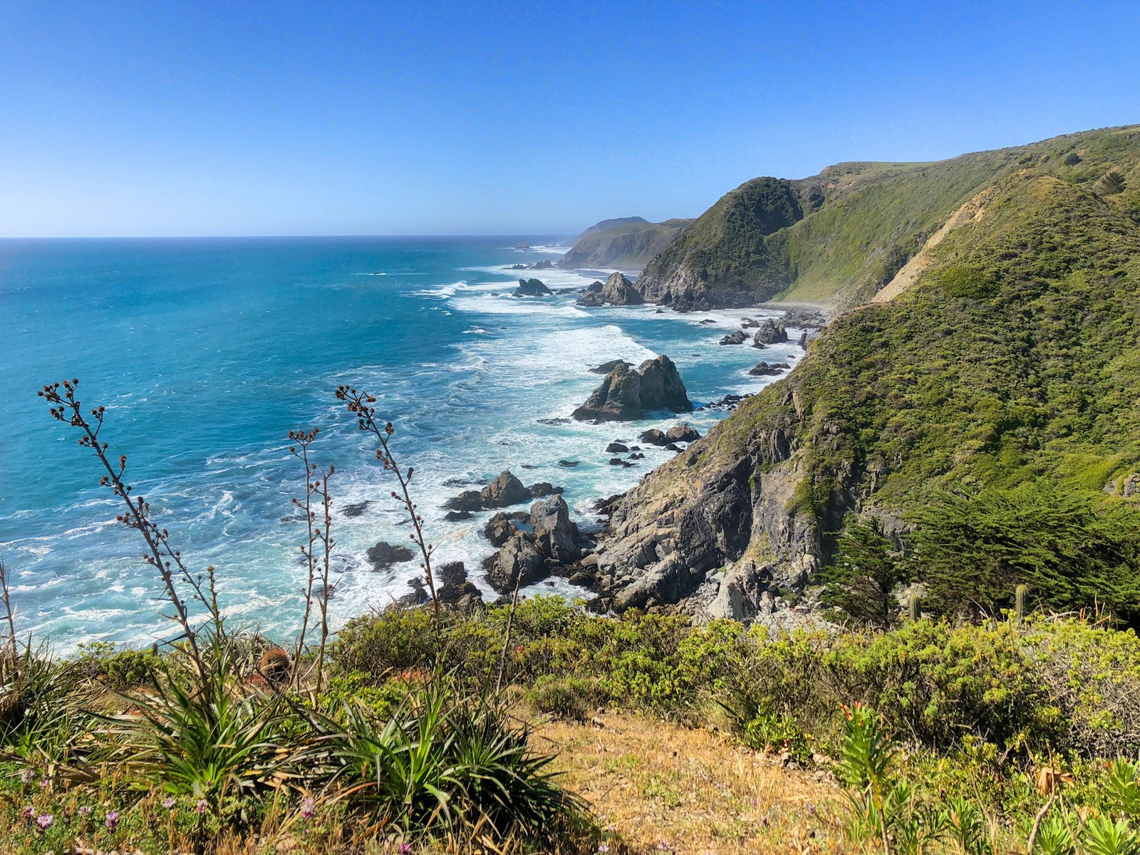 Praderas y Bosque Nativo